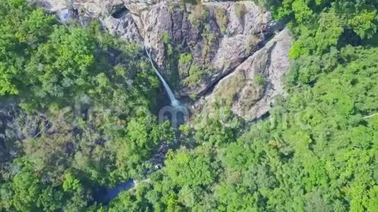 丛林中的岩石向高瀑布移动视频