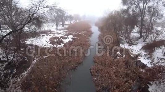 雾在公园里的河流上，雪，解冻，春天。视频