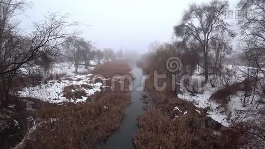 雾在公园里的河流上，雪，解冻，春天。视频