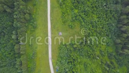 绿色森林乡村道路俯视图.. 剪辑。 农村绿色森林林荫道之间的乡村道路视频