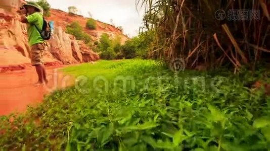 旅游照片：草地对植物的飞舞视频