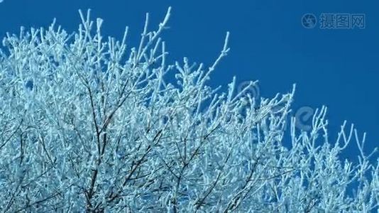 蓝天上的雪视频