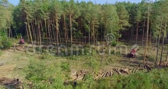 砍伐森林，破坏环境，破坏生态视频