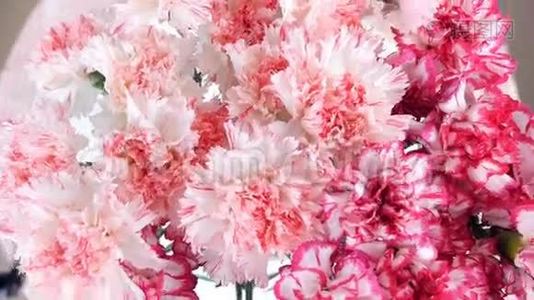 特写，从上面看，花，花束，旋转，花的组成由淡粉色土耳其语构成视频