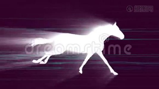 白光马奔跑剪影霓虹灯速度线背景新品质独特动画动态欢乐4k视频视频