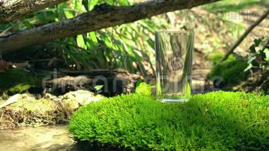 空的玻璃站在苔藓的岩石上，有一朵小花。 弹簧流在软关注背景。 纯净的生态水视频