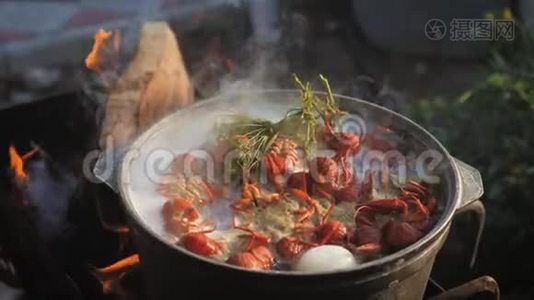 小龙虾在水中用香料和草药烹饪。 热煮小龙虾。 龙虾特写..视频