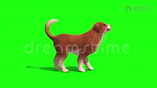 布朗大狗树皮边绿屏3D渲染动画视频
