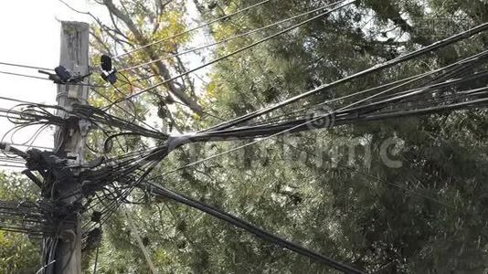 电线和电话线路安装不良视频