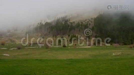 林中浓雾，N村山中浓雾视频