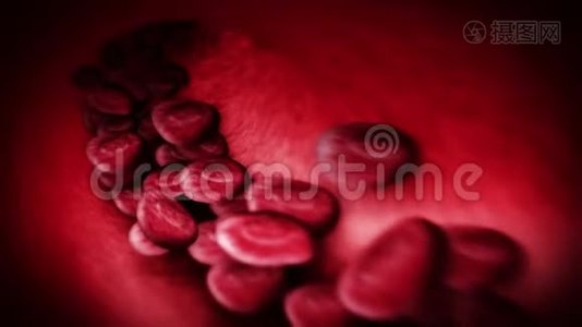 人体循环系统。 人血管3红细胞D环动画。 医疗保健符号..视频