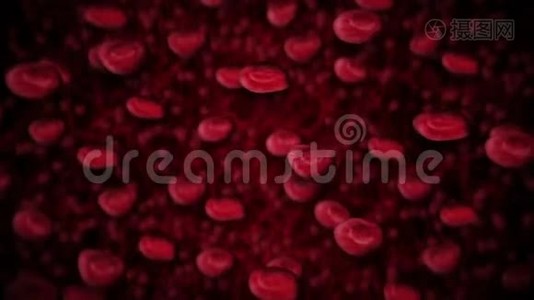 红细胞通过血液漂浮并在血管中循环。 医学概念。 3D染静脉和动脉。 医疗保健。视频
