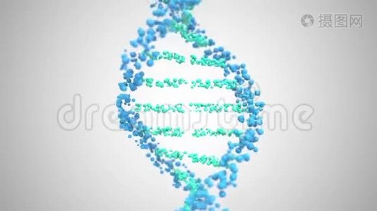 DNA螺旋模型，可循环三维动画视频