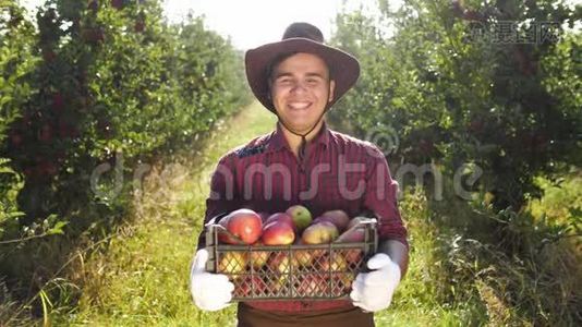 戴帽子的幸福农夫站在苹果园的画像视频
