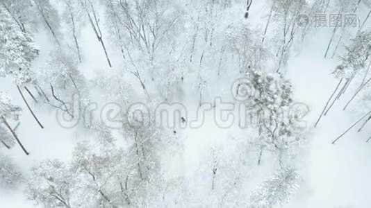 一对夫妇在雪地公园空中散步视频