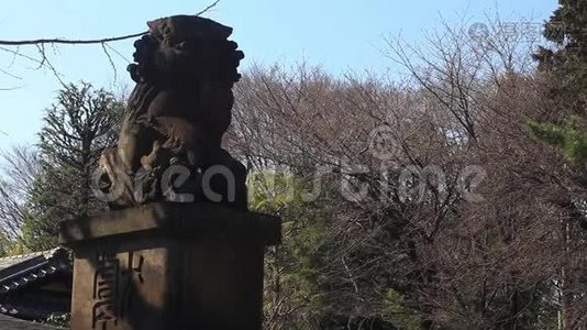 东京神社石像守护犬视频