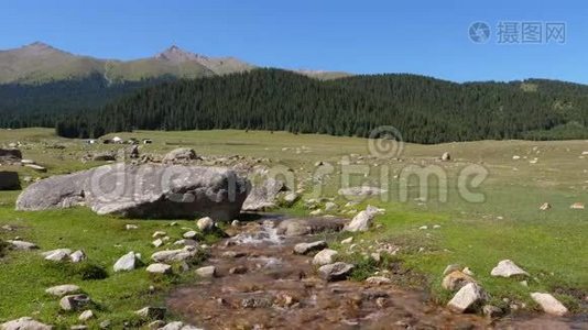 山泉在山间山谷流淌.. 河溪和青山景色视频