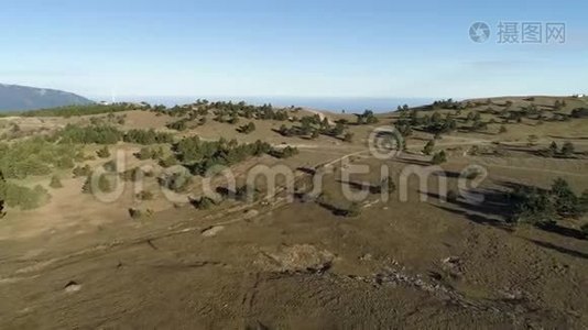 在阳光明媚的一天，在绿色的南瓜和松树之间为乡村道路提供空中交通。 中枪。 美丽的风景视频