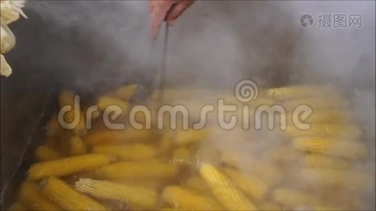 一组有机玉米在一个大金属锅中沸腾。视频