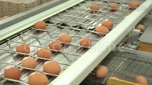 蛋厂鸡包装.视频