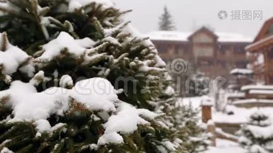 雪落杉树枝，背景木屋.. 山村滑雪场大雪. 寒冷视频