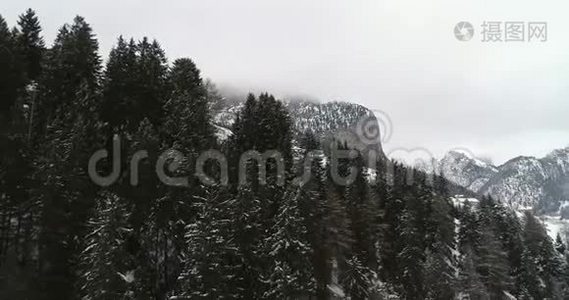 前方空中森林发现雪山。 多云坏阴多雾天气.. 冬季意大利白云石视频