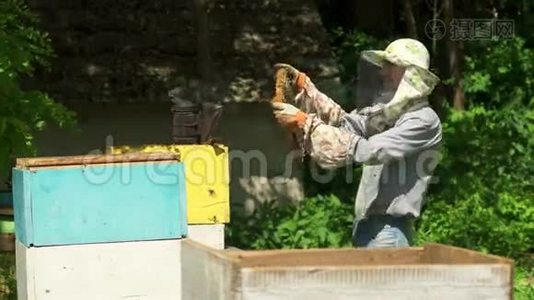 养蜂人拿着一个蜂蜜细胞对着镜头微笑。视频