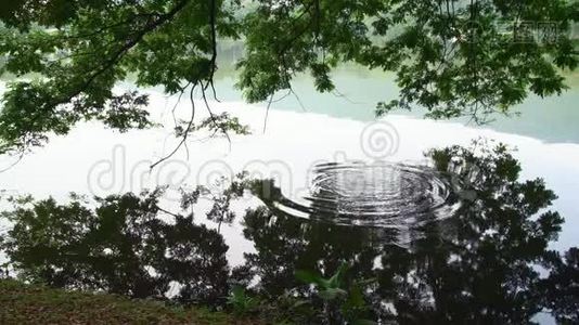 泻湖平静的水面上荡漾着天空的倒影，从石头扔入水中视频