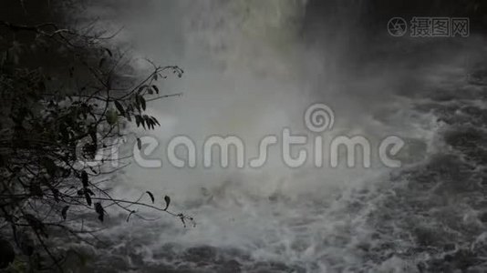 泰国高叶公园与海秀瀑布的近缘叶慢动视频