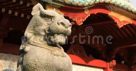 东京金达神社的雕像守护犬视频