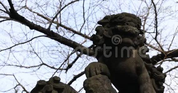 东京金达神社的雕像守护犬视频