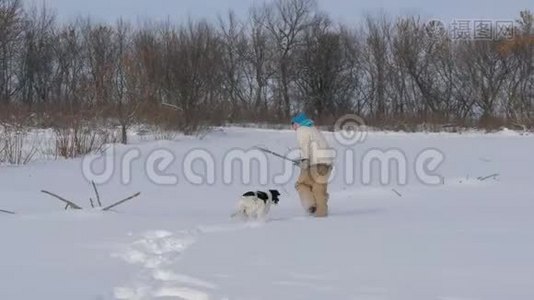 男孩少年在雪地里和狗玩得很开心。视频