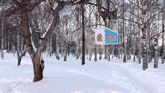 冬季森林公园树上的木制鸟饲养器。视频
