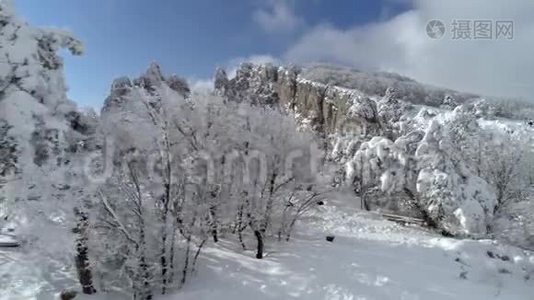 山峰和森林景观.. 中枪。 森林雪山的俯视图视频