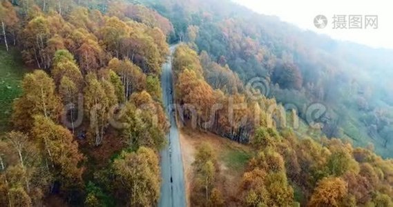 在五彩缤纷的乡村秋林中，仰视高空俯视道路。 秋天的橙色，绿色，黄色的红色树林视频