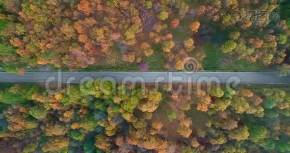 在五彩缤纷的乡村秋林中，高空俯视道路。 橙色，绿色，黄色视频