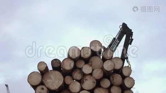 起重机臂从锯木厂的卡车上捡起木材原木视频