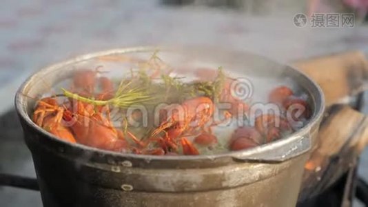 小龙虾在水中用香料和草药烹饪。 热煮小龙虾。 龙虾特写..视频