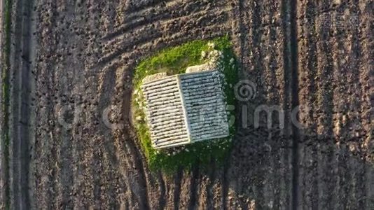 一片杂草丛生的土地上的空中景色视频