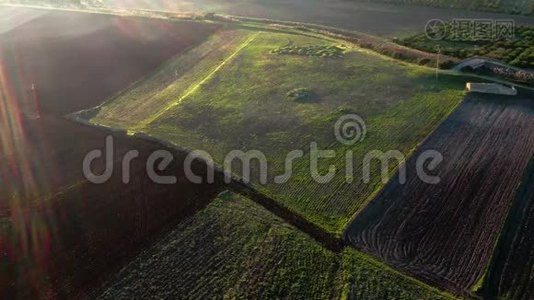 一片杂草丛生的土地上的空中景色视频