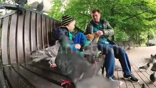 戈梅尔，白俄罗斯。 爸爸和儿子在公园里喂野鸽子。视频