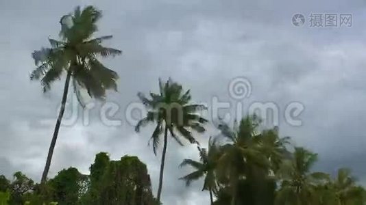 在泰国雨季暴风雨来临之前，强风摇动了椰子棕榈树。视频