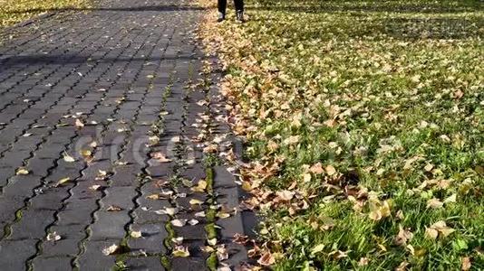 秋天公园的双脚穿着靴子，在草地上奔跑视频