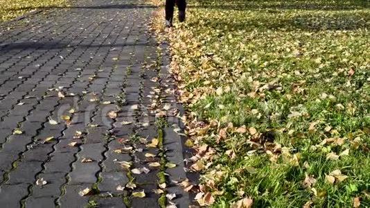 秋天公园的双脚穿着靴子，在草地上奔跑视频