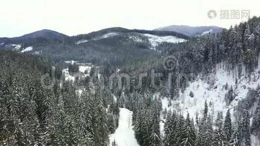 从空中掠走的雪山和森林视频