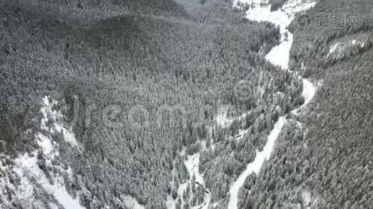 从空中掠走的雪山和森林视频