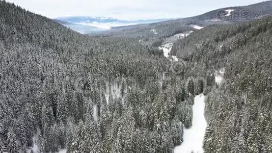 从空中掠走的雪山和森林视频