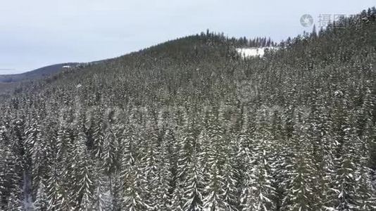 从空中掠走的雪山和森林视频