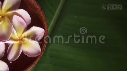 粉红色的花，也叫梅花，或在椰子碗中旋转，香蕉叶上有水视频