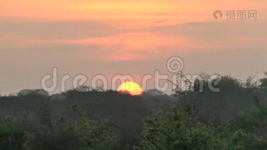 肯尼亚萨凡纳野生动物园日出视频